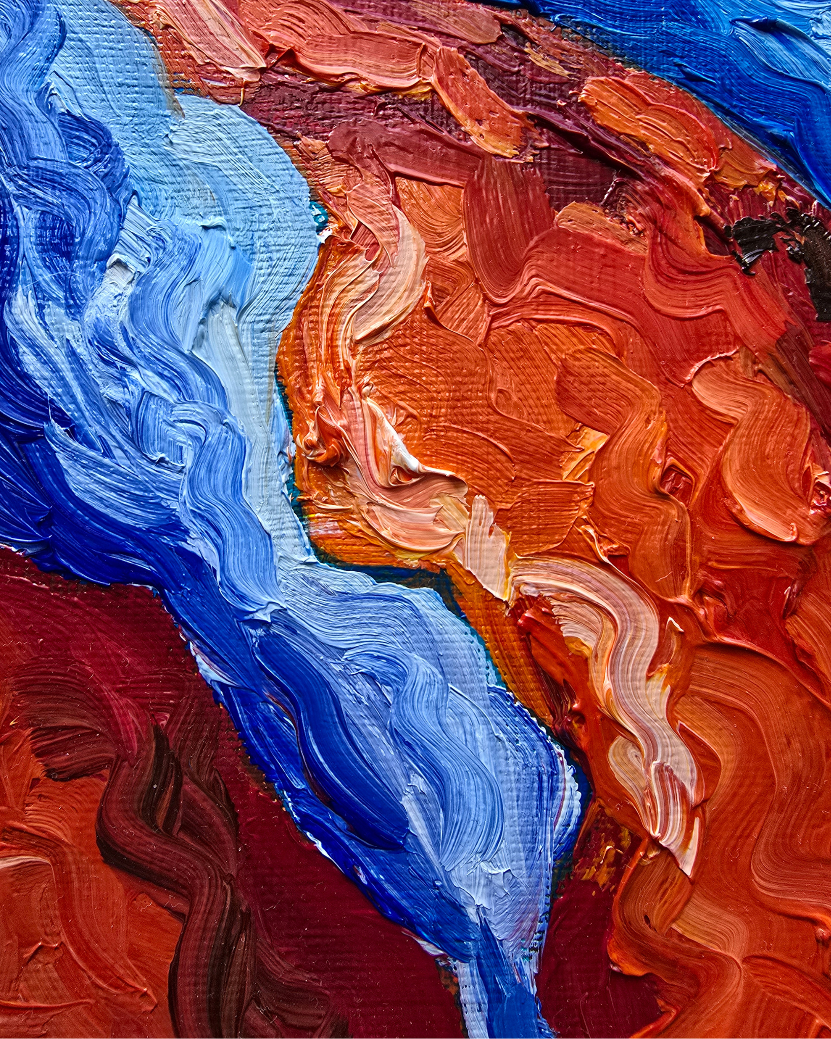 Lobster, 60x60 cm Original